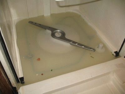Посудомойка Bosch не сливает воду: ремонт